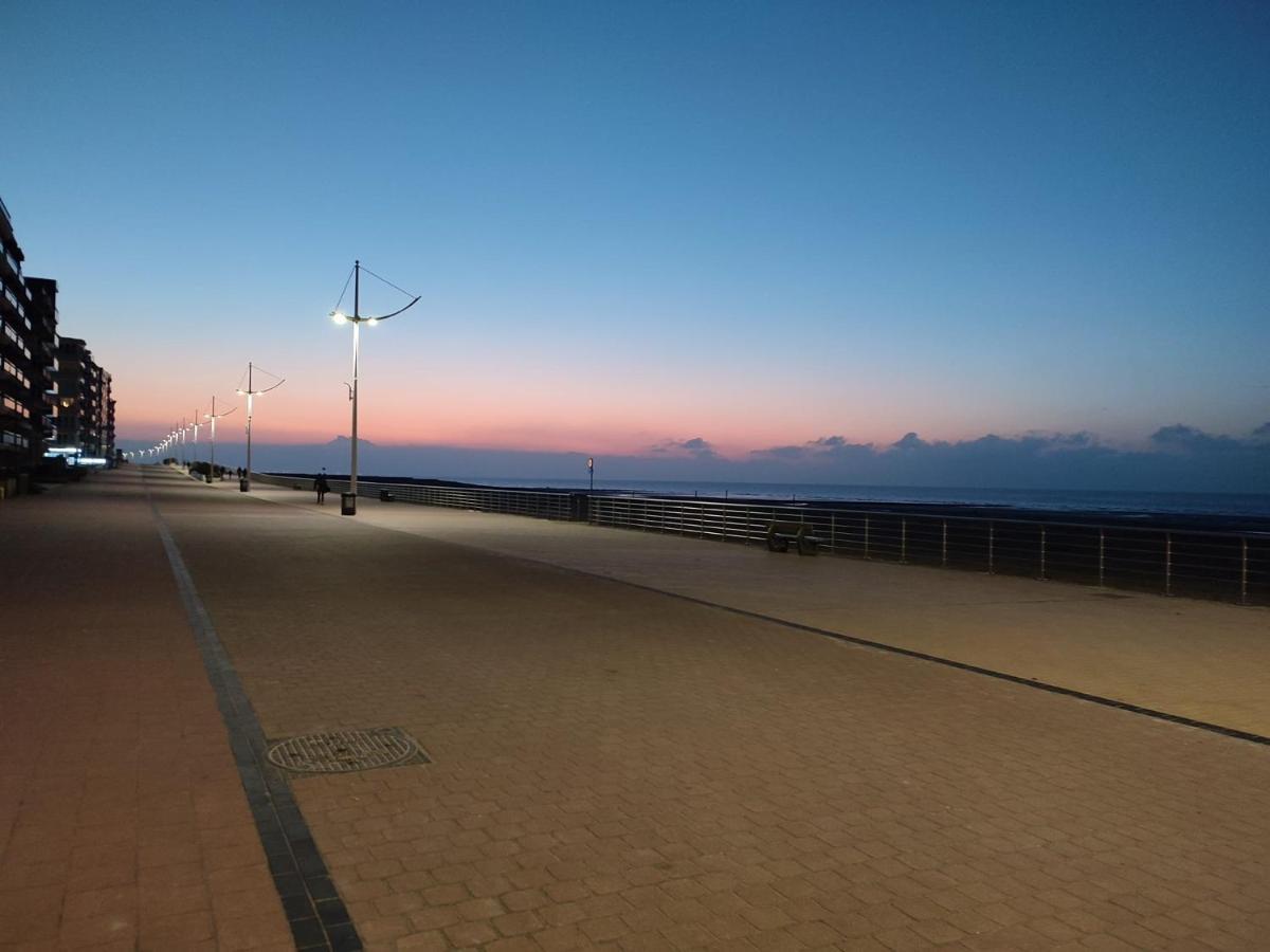 Zilverzand Aan Zee - Frontaal Zeezicht Koksijde Ngoại thất bức ảnh